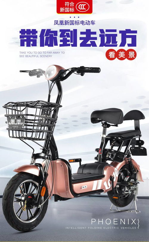 鳳凰新國標(biāo)電動(dòng)自行車鉛酸電池助力車男女成人小型代駕電瓶電動(dòng)車42v 12a 鴻途